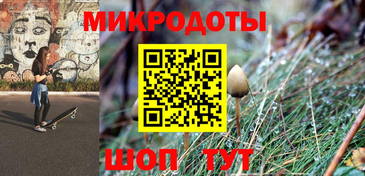 Псилоцибиновые грибы Cubensis Новозыбков