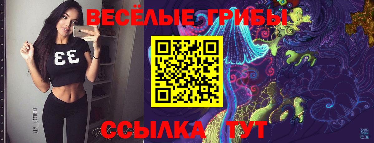 Новозыбков  Галлюциногенные грибы MAGIC MUSHROOMS  Вход с VPN 